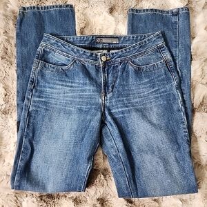 Vintage Joe's Jeans size 28 straight